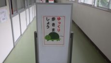 RIMG8856