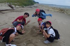 IMGP3533